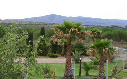 eastpoort08.jpg